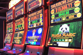 Experience the Thrill of Gambling with thepokies Australia Experience the Thrill of Gambling with thepokies Australia