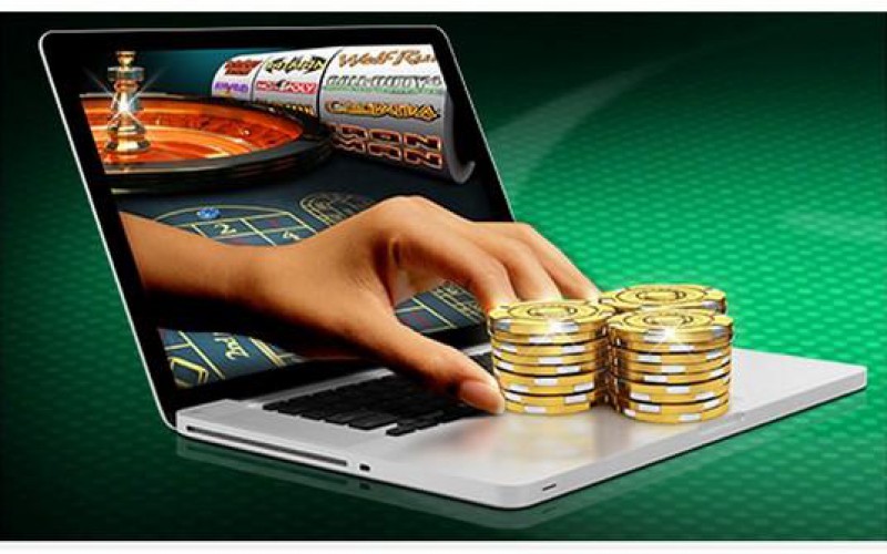 Exploring the Best Live Dealer Exploring the Best Live Dealer