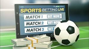The Ultimate Guide to Tucheze Bet Strategies and Tips The Ultimate Guide to Tucheze Bet Strategies and Tips
