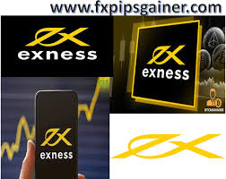 Understanding the Exness Forex Trading Broker Understanding the Exness Forex Trading Broker